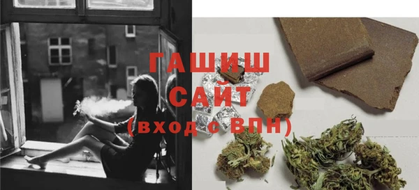 стафф Гусев