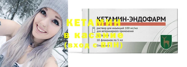 стафф Гусев