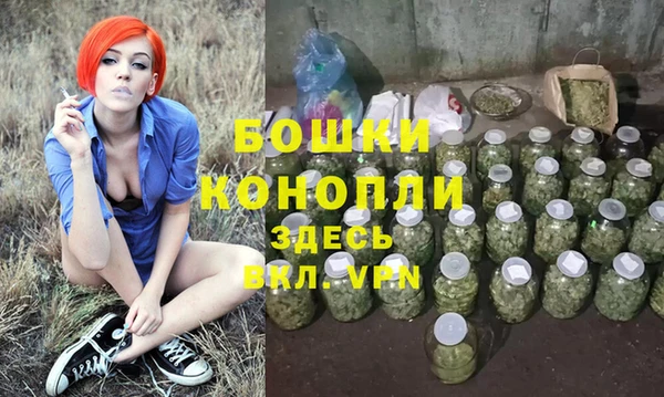 стафф Гусев