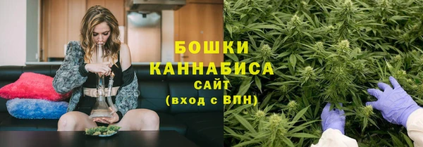 СК Гусь-Хрустальный