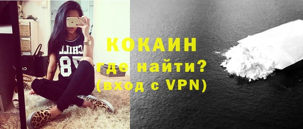 стафф Гусев