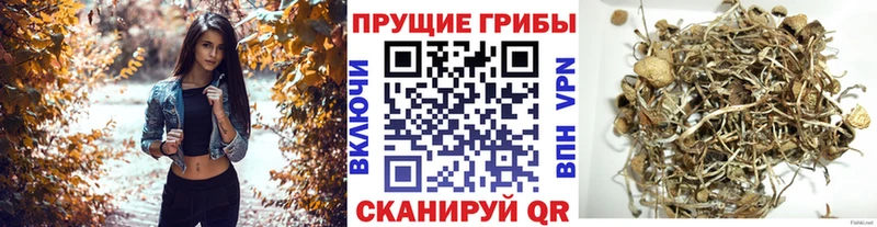 Псилоцибиновые грибы Magic Shrooms  Купить где  Лагань 